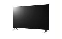 LG Hotel-TV OLED 65AN960H 65 "