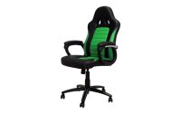 Racing Chairs Gaming-Stuhl CL-RC-BG Grün/Schwarz