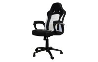 Racing Chairs Gaming-Stuhl CL-RC-BW Weiss/Schwarz