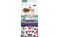 Versele Laga Snack Crock Complete Berry, 50 g