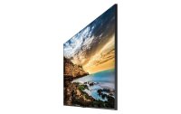 Samsung Public Display QE55T 55"