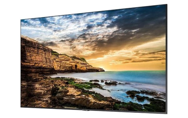 Samsung Public Display QE65T 65"