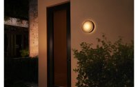 Philips Hue White & Color Ambiance Outdoor Daylo Wandleuchte Schwarz