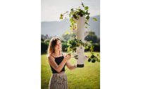 Gusta Garden Aufzuchttöpfe SISSI STRAWBERRY Hanging, Anthrazit