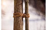 Windhager Bindeschnur Kokos-Baumanbindeschnur 15 m