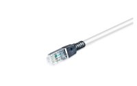 Wirewin Patchkabel Securelock Cat 6A, S/FTP, 5 m, Grau