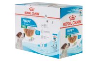 Royal Canin Nassfutter Start of Life Mini Puppy Sauce, 12...