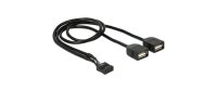 Delock USB2.0 Pinheaderkabel 2x USB2.0 40 cm