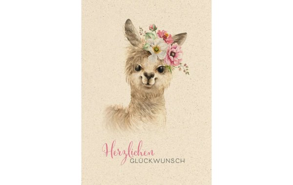 Natur Verlag Geburtstagskarte Lama A4