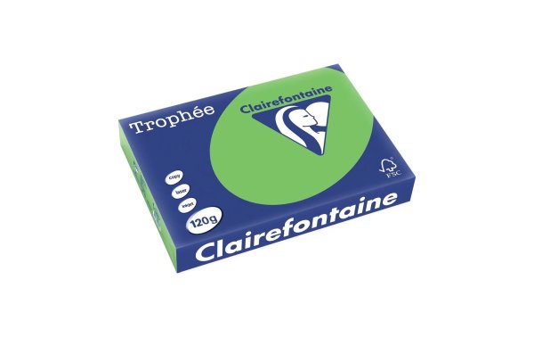 Clairefontaine Kopierpapier Trophée Colored Copy FSC A4, Grün, 120 g/m²