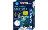 Kosmos Experimentierkasten Saltwater Creatures
