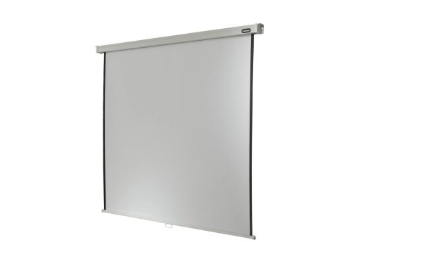 Celexon Rollo-Leinwand Pro 240x240cm 1:1