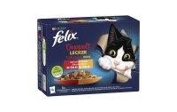 Felix Nassfutter Doppelt Lecker, Fleisch & Fisch, 12...