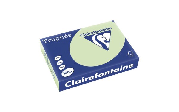 Clairefontaine Kopierpapier Trophée Colored Copy FSC A4, Hellgrün, 160 g/m²