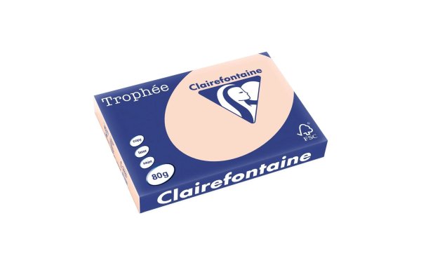 Clairefontaine Kopierpapier Trophée Colored Copy FSC A3, Lachs, 80 g/m²