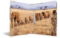 HERMA Ringbuch Afrika 2-Ring 3.5 cm, Mehrfarbig