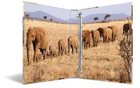 HERMA Ringbuch Afrika 4-Ring 3.5 cm