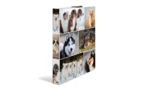 HERMA Ringbuch Hunde 4-Ring 3.5 cm