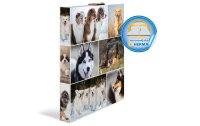 HERMA Ringbuch Hunde 4-Ring 3.5 cm