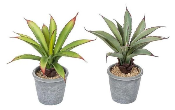 Botanic-Haus Kunstpflanze Aloe  im Topf, 2er Set