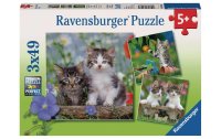 Ravensburger Puzzle Süsse Samtpfötchen