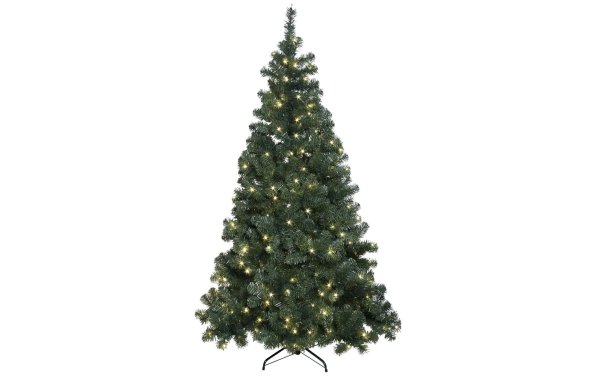 Star Trading Weihnachtsbaum Ottawa 260 LED, 2.1 m