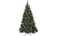 Star Trading Weihnachtsbaum Ottawa 260 LED, 2.1 m