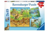 Ravensburger Puzzle Tiere in ihren Lebensräumen