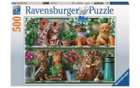Ravensburger Puzzle Katzen im Regal